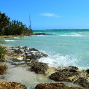 Excursión a Playa Larga y Cienaga de Zapata